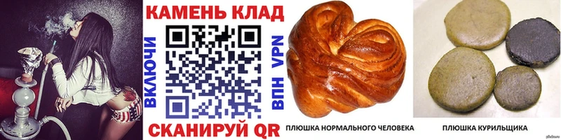 Гашиш Изолятор  hydra вход  Тихвин 