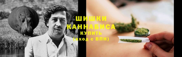 ешки Алексин