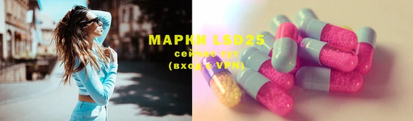 ешки Алексин