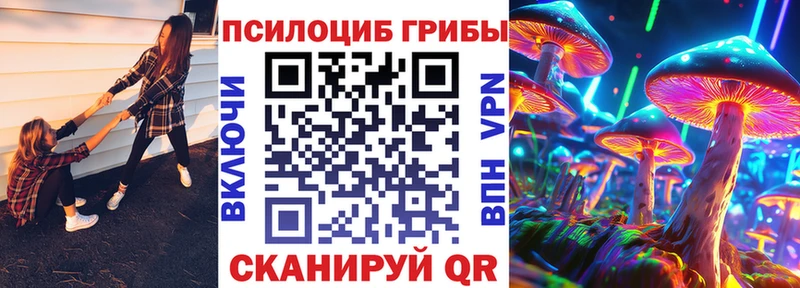 Псилоцибиновые грибы MAGIC MUSHROOMS  сколько стоит  Тихвин 