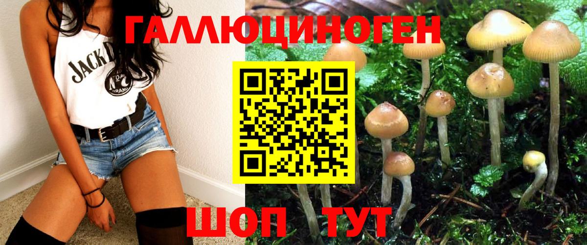 Галлюциногенные грибы мухоморы Тихвин