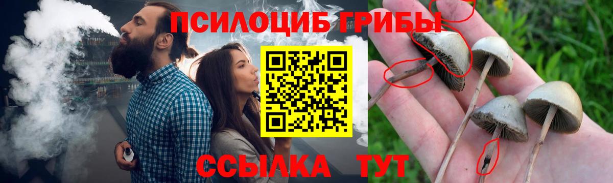 Тихвин  Псилоцибиновые грибы GOLDEN TEACHER  Вход с VPN 