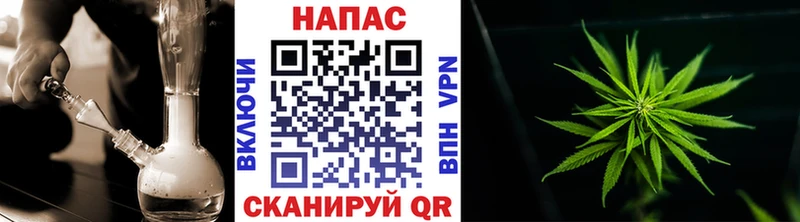 Бошки Шишки MAZAR  Тихвин 